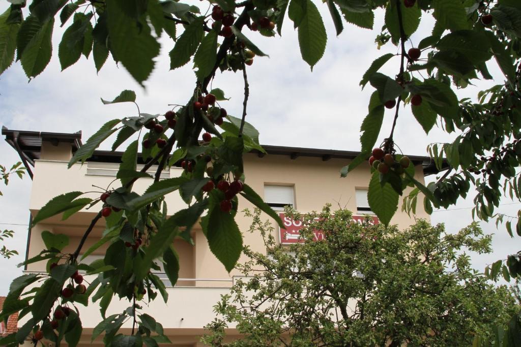 Rooms Villa Aria Сесвете Екстер'єр фото